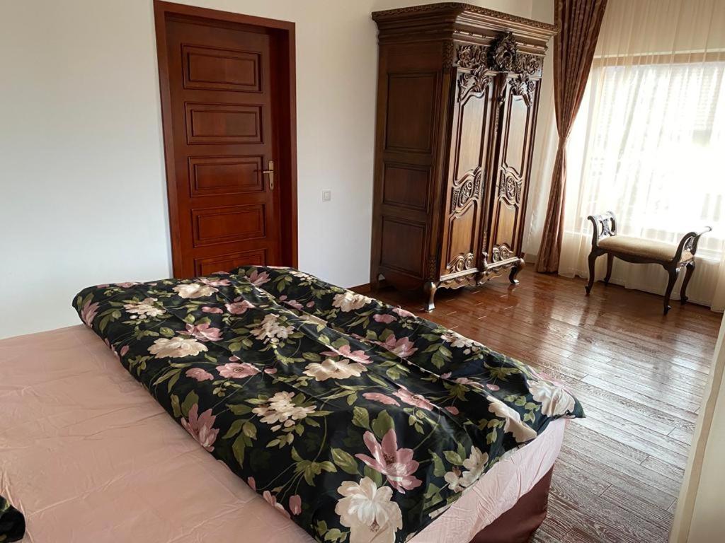 Sînpetru Casa Titaヴィラ エクステリア 写真