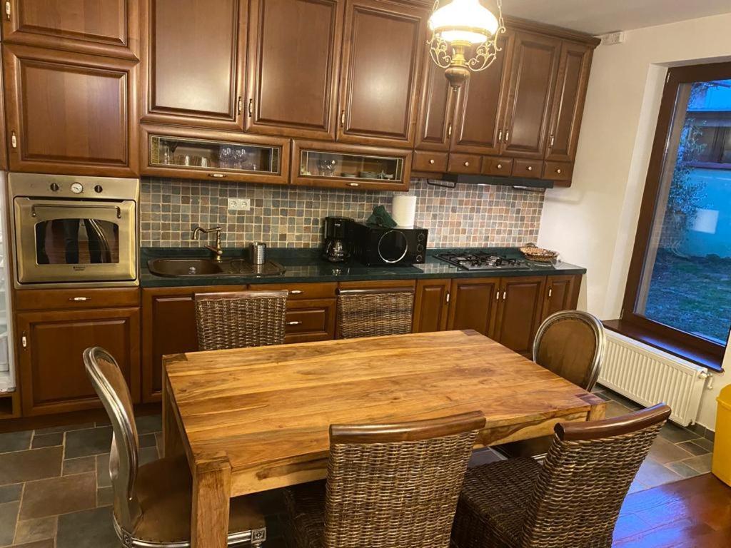 Sînpetru Casa Titaヴィラ エクステリア 写真